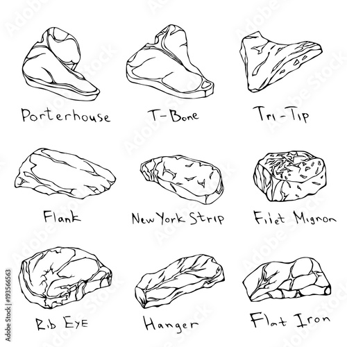 Most Popular Steak Types Set. Beef Cuts. Top Meat Guide for Butcher Shop or Steak House Restaurant Menu. Hand Drawn Illustration. Savoyar Doodle Style. Porterhouse, T-bone, Tri-Tip, Flank, Rib Eye.
