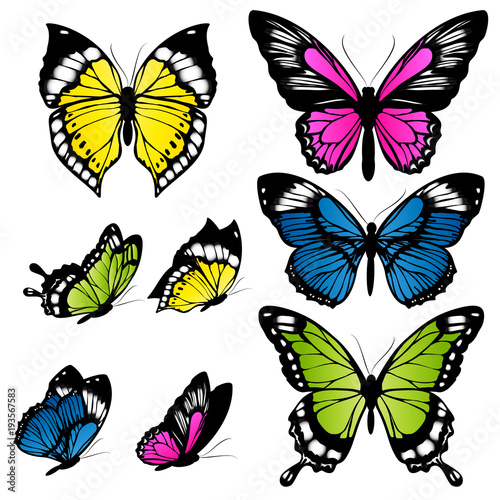 beautiful color butterflies,set, isolated on a white
