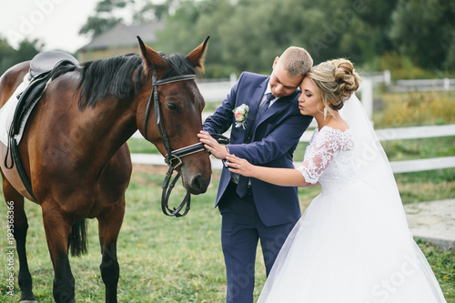 Gorgreous wedding couple poses on the green lawn with a horse