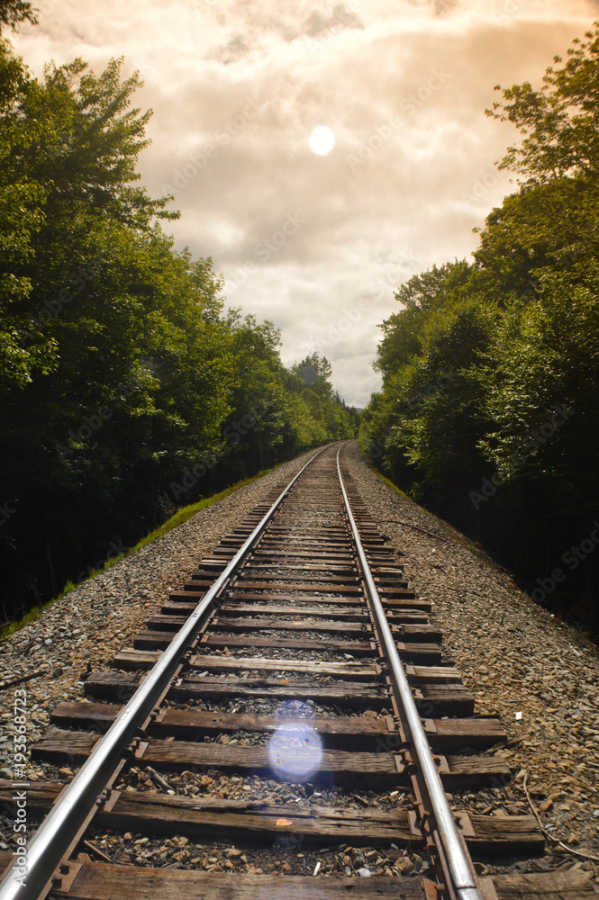 Fototapeta premium Tracks at Moosehead