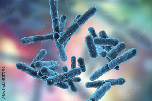 Bacteria Bifidobacterium, gram-positive anaerobic rod-shaped bacteria which are part of normal flora of human intestine are used as probiotics and in yoghurt production. 3D illustration photo