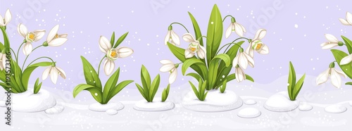 Seamless border from snowdrop making the snow through the snow and flowers on violet background