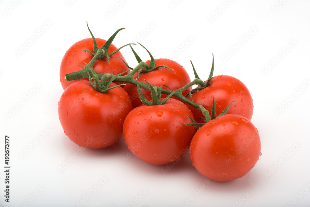 tomato branch isolated on white background tomato branch isolated on white background