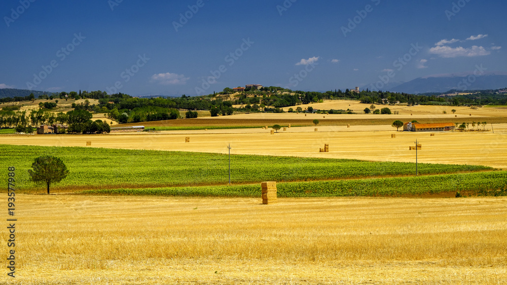 Summer landscape near Perugia