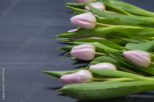Pink tulips flowers on dark chalcboard surface. Bouquet on a blur abstract background with copy space.