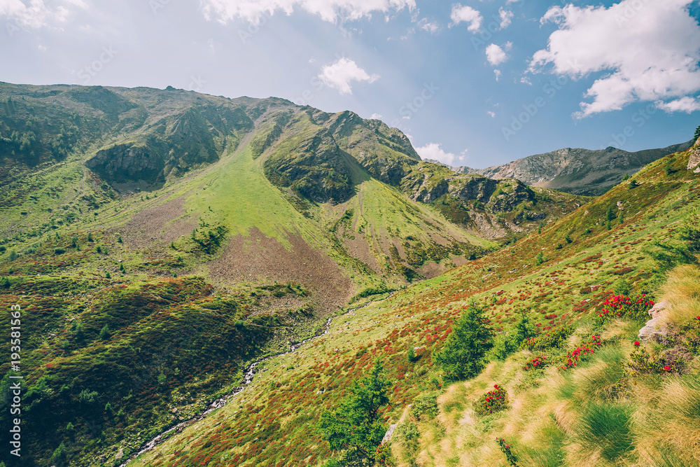 paesaggio alpino