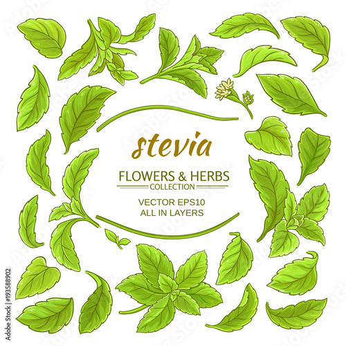 stevia elements vector set