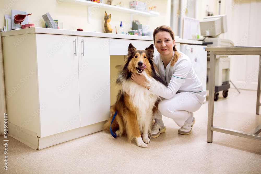 Dog and veterianrian at pet ambulance