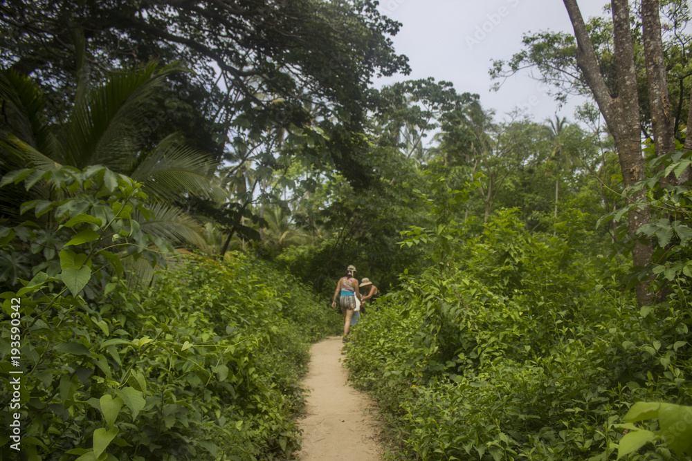 Fototapeta premium Parque Tayrona