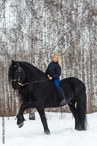 Little girl is riding a friesian horse, outdoor