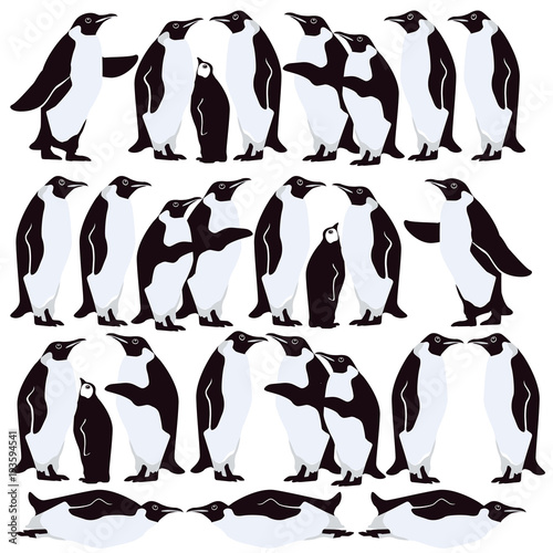 Pinguin Gruppe isoliert, illustration