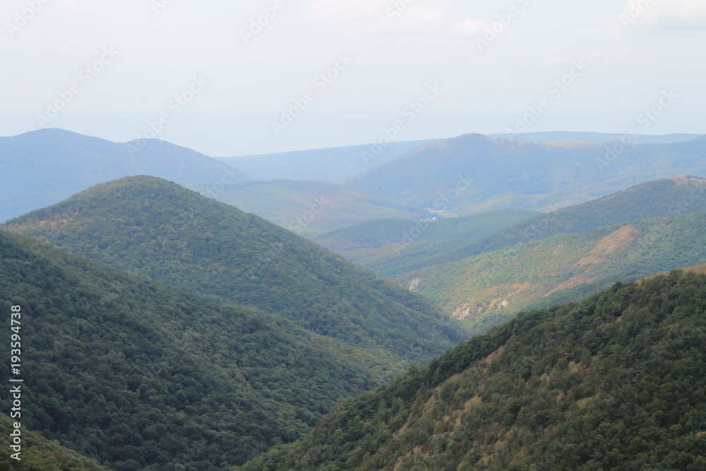 Fototapeta premium nature