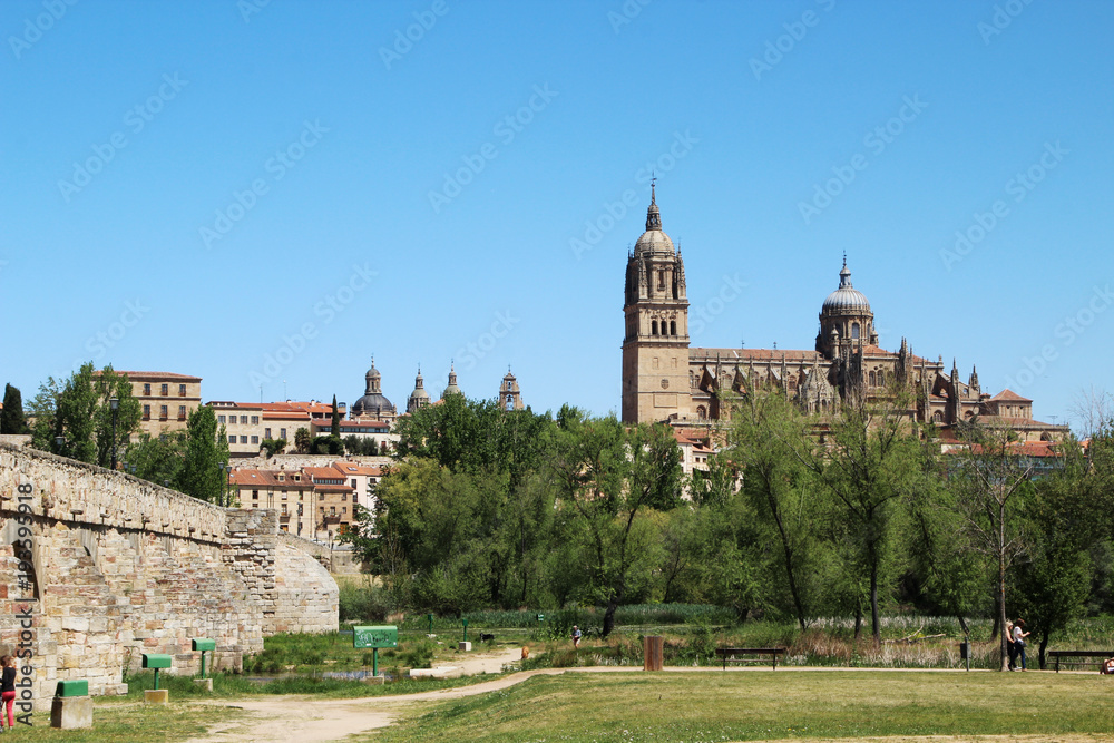 New Cathedral and The Roman bridge of Salamanca, Spain 