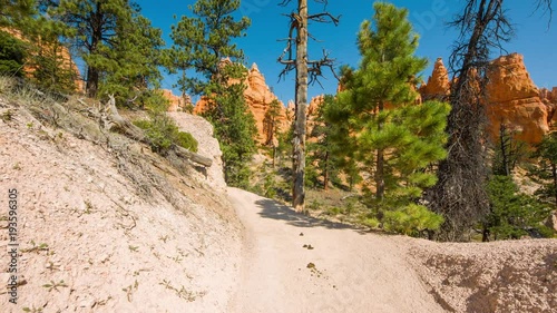Green pine-trees on rock slopes. Video in motion along the trail. Walk along the path. Nature video. Amazing mountain landscape. Bryce Canyon National Park. Utah.USA. 4K, 3840*2160, high bit rate