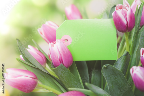 Fototapeta Naklejka Na Ścianę i Meble -  Bouquet of Fresh Tulip Flowers with Blank Note Card