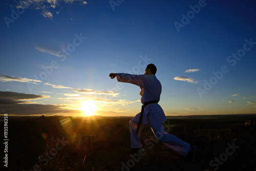 Specialist in martial arts making technical movements.