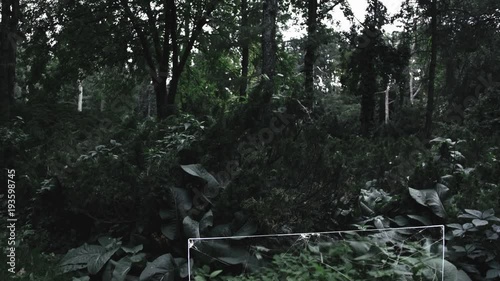 Various pieces of glass stand in the forest. A camera moves around them