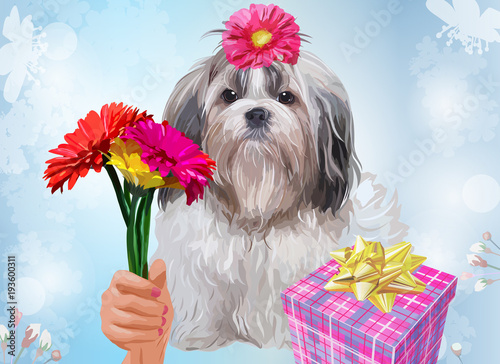 Shih tzu dog gift