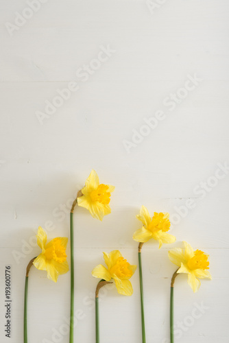Fototapeta Naklejka Na Ścianę i Meble -  Narcissus on wooden table, bright day, empty space