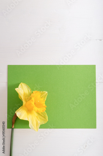 Fototapeta Naklejka Na Ścianę i Meble -  Narcissus on wooden table with empty card, bright day
