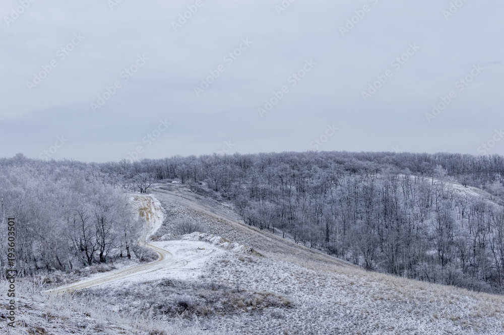 view from the hill to the winter forest in the evening, against the background of a cloudy sky