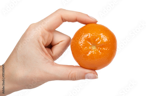 Ripe mandarin, citrus tangerine, orange in hand. Isolated on white background