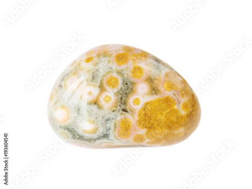 Ocean jasper on white backg...