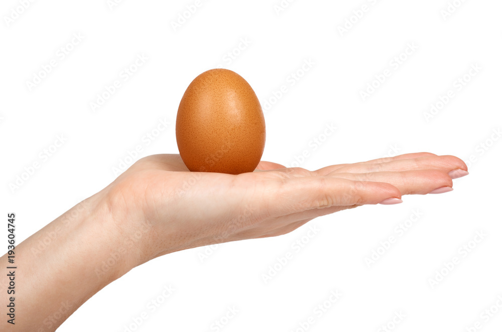 Brown chicken organic eggs in hand. Isolated on white background. Nutritious and protein reserve Brown chicken organic eggs in hand. Isolated on white background. Nutritious and protein reserve
