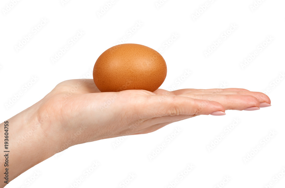 Brown chicken organic eggs in hand. Isolated on white background. Nutritious and protein reserve Brown chicken organic eggs in hand. Isolated on white background. Nutritious and protein reserve