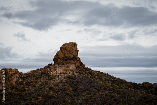Boulder in the Sonoran desert. © Mary Lynn Strand