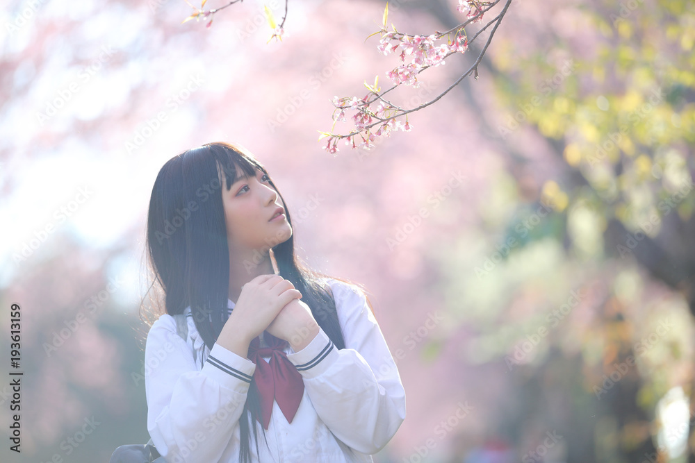 Japanese school girl dress with sakura flower nature walkway Japanese school girl dress with sakura flower nature walkway