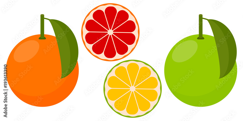 Icon Grapefruit, pink and white. Vector illustration. Icon Grapefruit, pink and white. Vector illustration.
