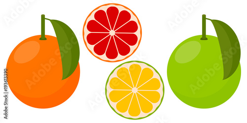 Icon Grapefruit  pink and white. Vector illustration.