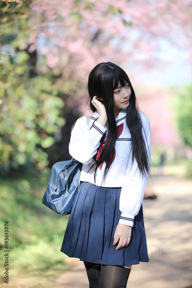 Japanese school girl dress with sakura flower nature walkway Japanese school girl dress with sakura flower nature walkway