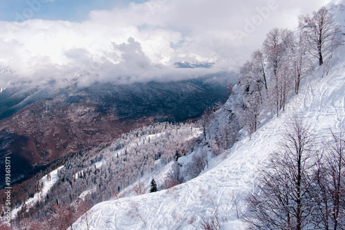 Winter mountain trees on winter mountain background landscape. Ski tracks. photo