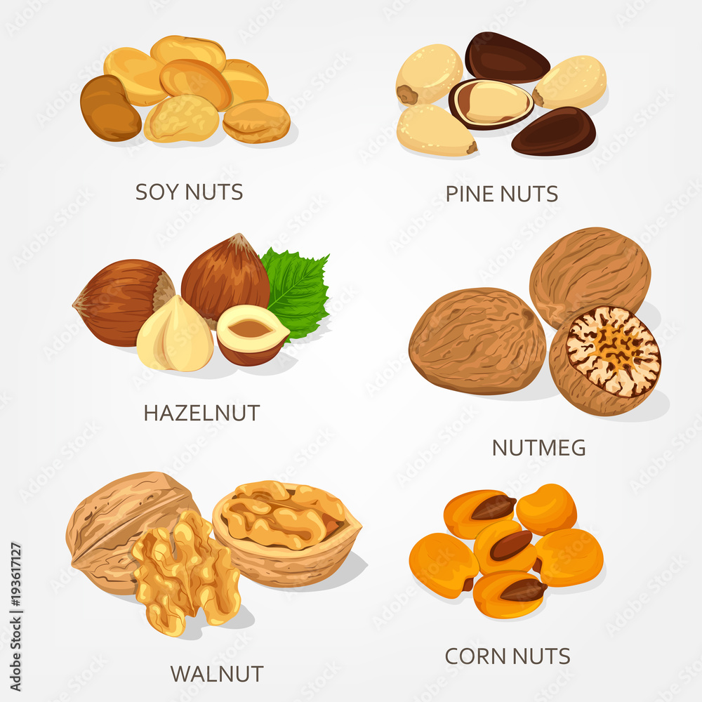 Hazelnut and walnut, corn and soy nuts shell Hazelnut and walnut, corn and soy nuts shell