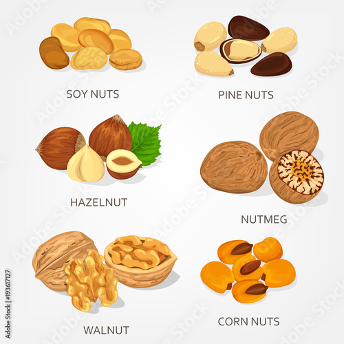 Hazelnut and walnut, corn and soy nuts shell