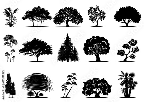 tree silhouettes on white background. Vector illustration.