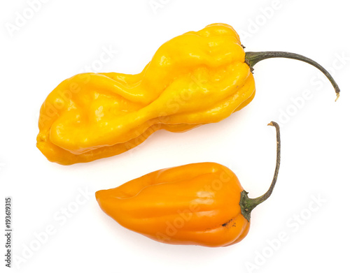 "Two Habanero chili top view yellow orange hot peppers isolated on white background.".