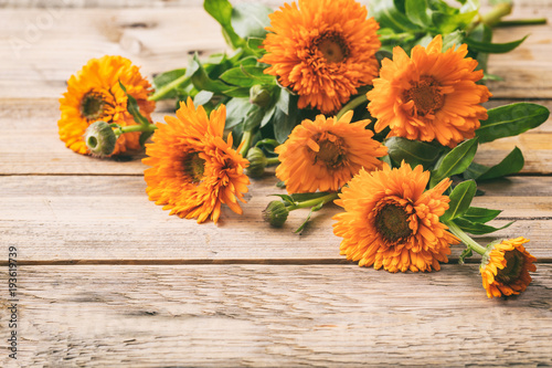 Calendula on wooden table, copy space, details