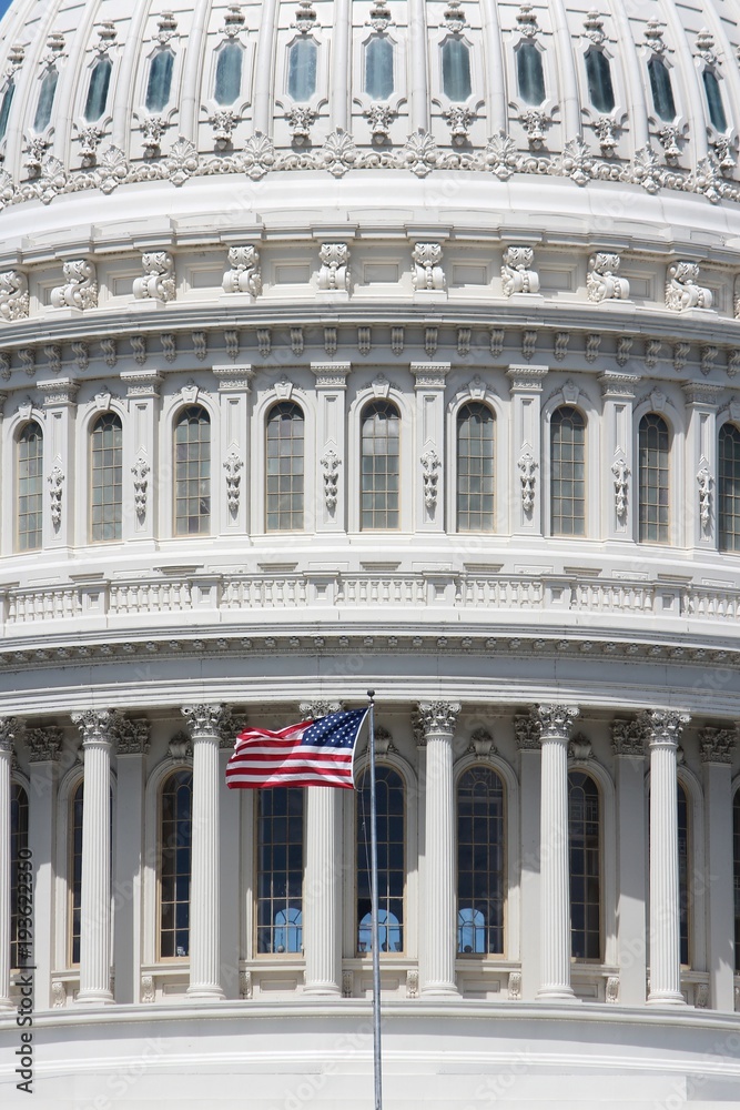 Obraz premium US National Capitol