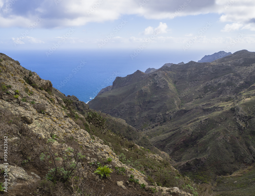 lava rock cliff with small green vegetation, blue sea horizon and sky with white clouds in anaga mountain tenerife