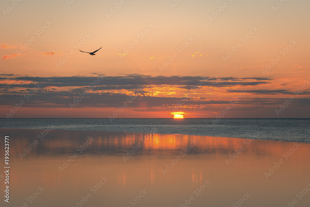 Cabo Ocean Sunrise