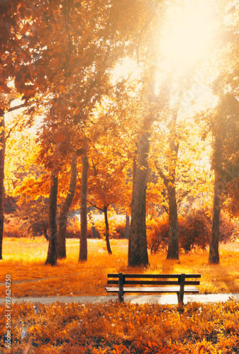 Empty bench in the park, in autumn golden and yellow colors; autumn background