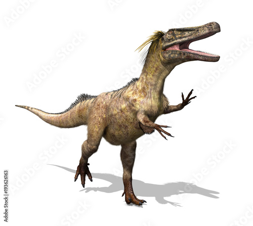 Austroraptor Dinosaur
