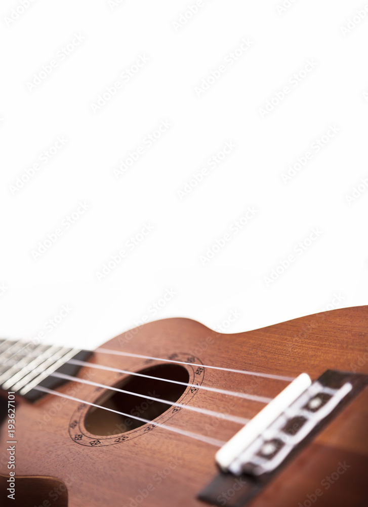 Obraz premium The brown ukulele guitar