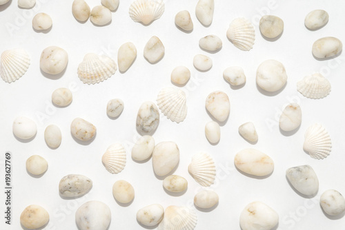 Marine decorative background of small pebbles and shells