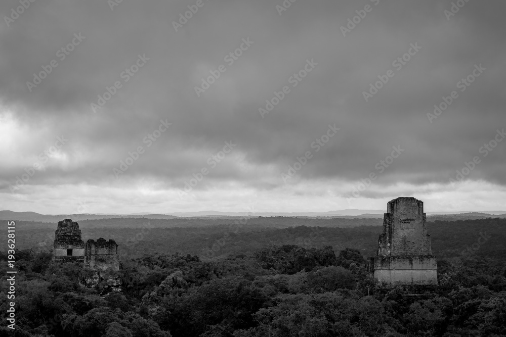 Fototapeta premium Blick über den Regenwald mit dem Tempeln von Tikal