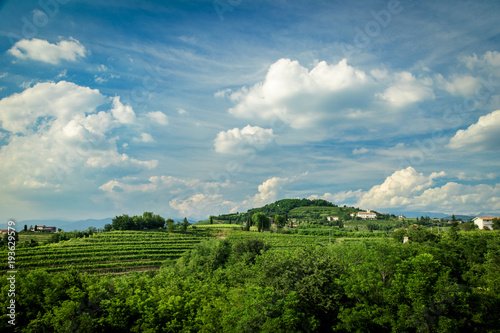 Fototapeta Naklejka Na Ścianę i Meble -  Sunset in the vineyards of Rosazzo