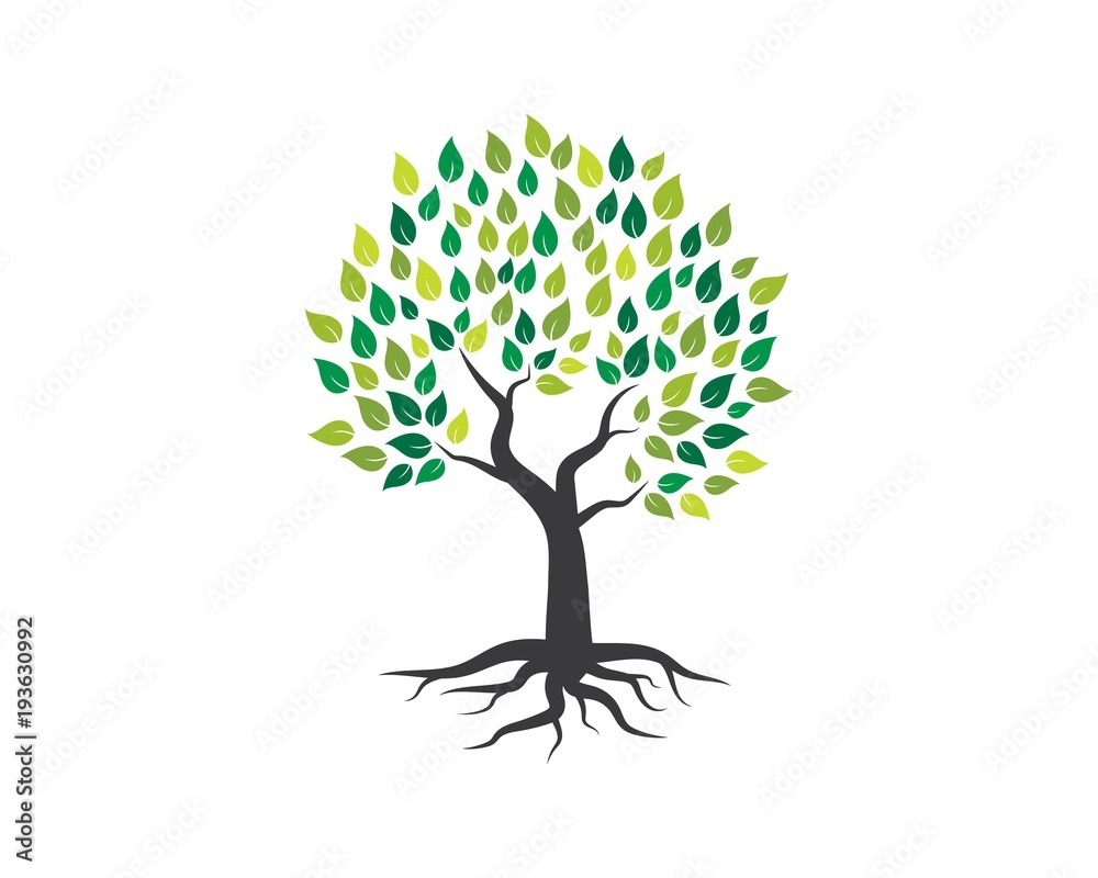 Naklejka premium Tree icon logo template